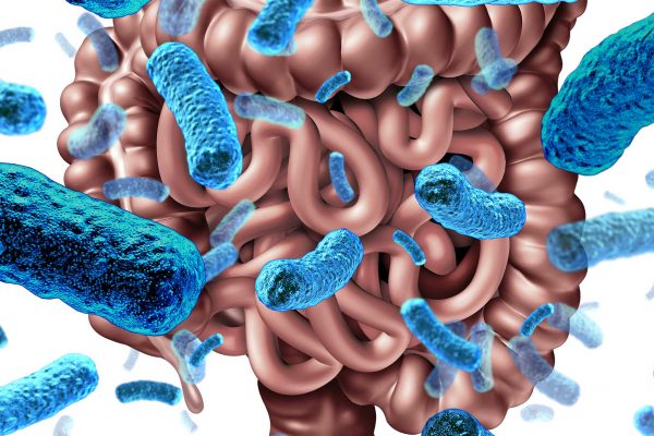 gut-microbes-IBS gut-microbes-IBS