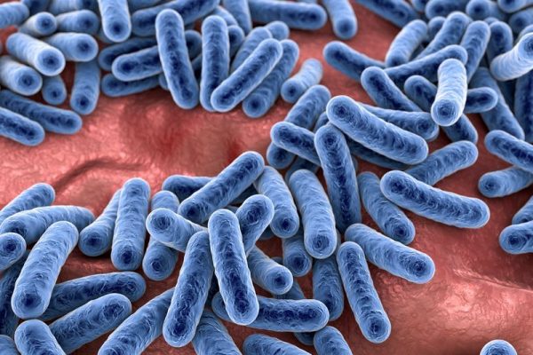microbiome-article-m microbiome-article-m